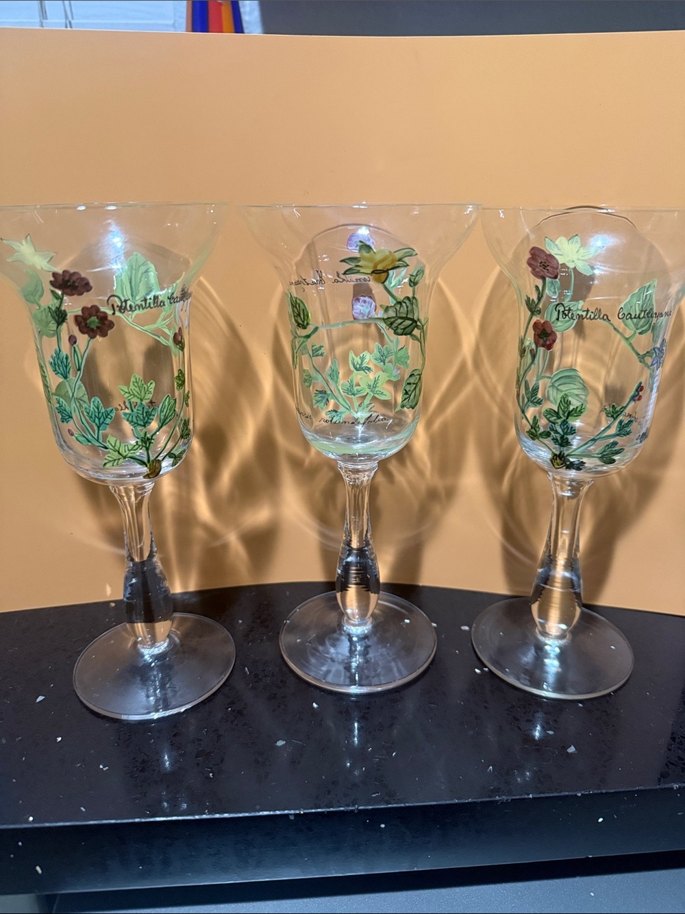 Hand Painted Goblets